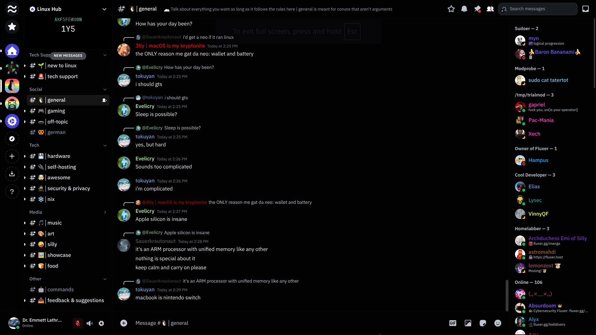 Fluxer Screenshot