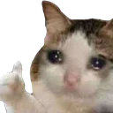 :cry: