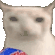catcips