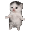 catdancing